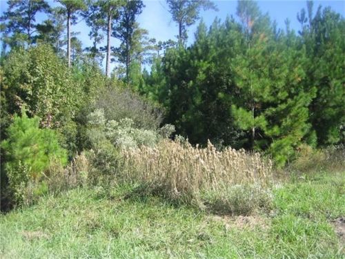 300 Fowler Rd, Loris, SC