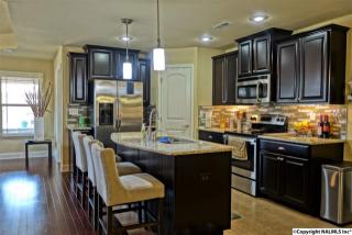250 New Bristol Ln, Madison AL  35756-4099 exterior