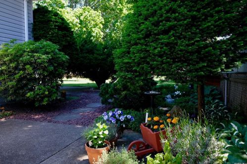 538 5 St, Elwood NY  11731-2105 exterior