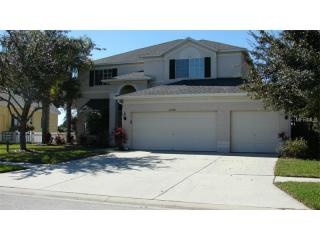 16208 Carnoustie Dr, Odessa, FL 33556-5426