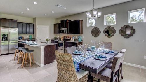 11892 Frost Aster Dr, Riverview FL 33579 exterior