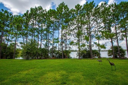 14748 Crosston Bay Ct, Orlando, FL 32824-4292