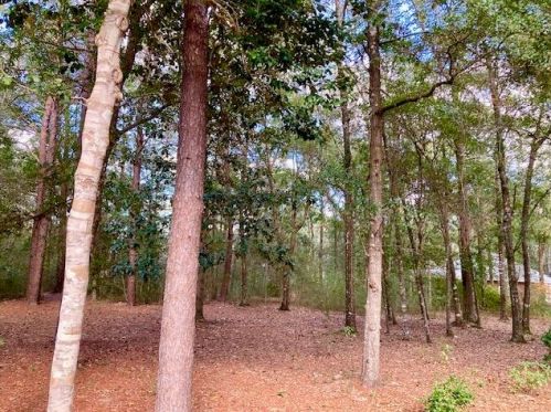 194 Creekside Ln, Defuniak Springs FL  32433-4906 exterior