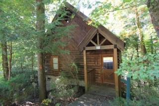 533 Hoot Owl Way, Gatlinburg, TN 37738-5878