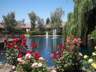 72 Fountain Grove Cir, Fairfield, CA 94558-2485