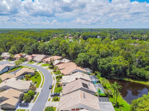 3664 Darston St, Palm Harbor FL  34685-1182 exterior