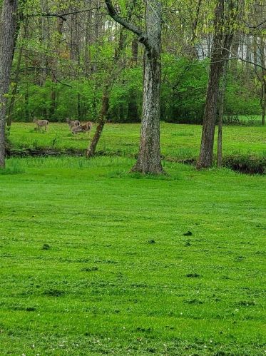 3833 Bach Buxton Rd, Amelia OH  45102-1011 exterior