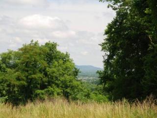 408 Canterbury Rise, Franklin, TN 37067-6491