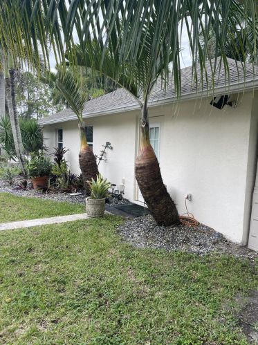 17148 78th Rd, Town Of Loxahatchee Groves FL  33470-5808 exterior