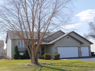 4132 158th St, Lakeville, MN 55068-1579