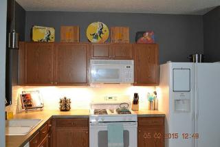 23631 Twisting Falls Dr, Spring TX  77373-7682 exterior