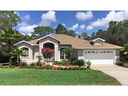 28 Black Willow Ct, Homosassa, FL 34446-4950