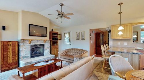 37 Steelhead Dr, Tarryall, CO 80827-9744