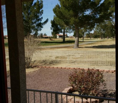 14920 Fireside Ln, Helendale CA  92342-7773 exterior