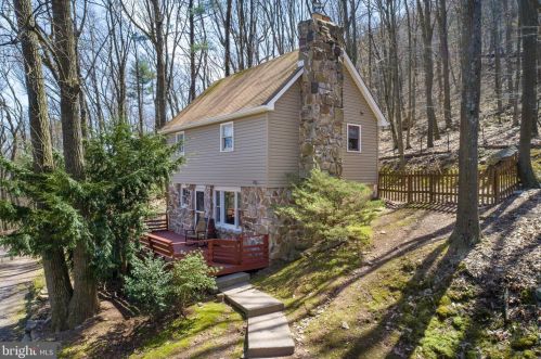 462 Wildcat Trl, Mount Patrick, PA 17045-9135