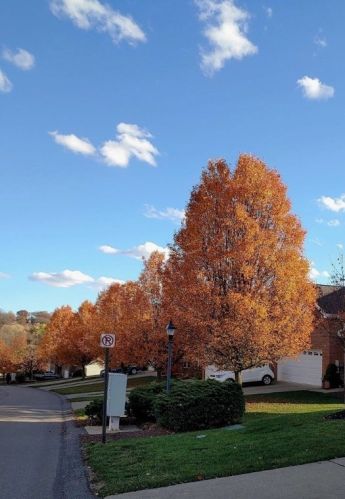 1033 Duncan Ln, Pittsburgh PA  15236-1661 exterior