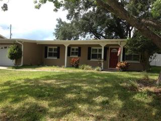 4531 Lenmore St, Orlando, FL 32812-1958