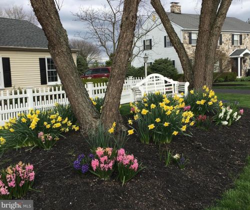 1209 Knollbrook Dr, Lansdale PA 19446-5117 exterior