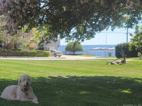 659 Pequot Ave, United States Coast Guard Ac CT  06320-4230 exterior