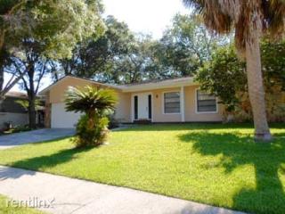 1122 Spanish Oaks Blvd, Palm Harbor FL  34683-6638 exterior