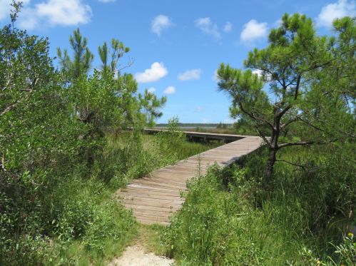 2682 Starfish Dr, Johns Island SC  29455-8600 exterior