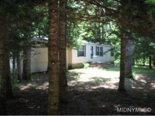 340 Buck Ln, Forestport, NY 13338-2208