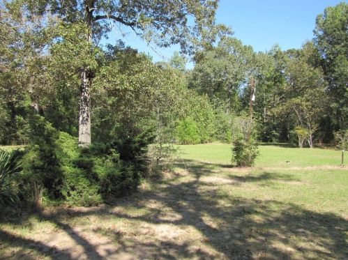 29520 Tudor Way, Magnolia, TX 77355-5206