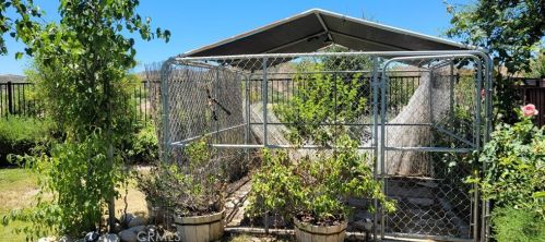 34407 Devlin Dr, Beaumont CA  92223-7436 exterior