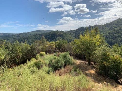 8060 Croy Rd, Morgan Hill CA  95037-9130 exterior