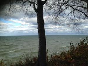 1005 Edgewater Dr, Westfield, NY 14787-9511