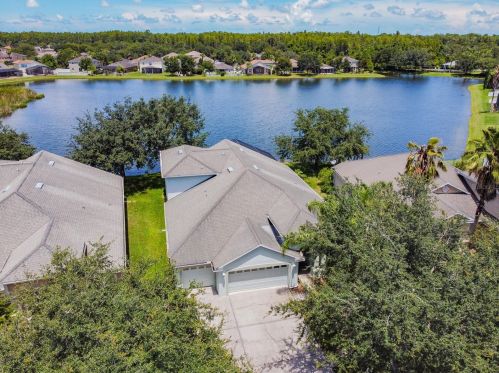 10555 Deerberry Dr, Land O Lakes, FL 34638-6948