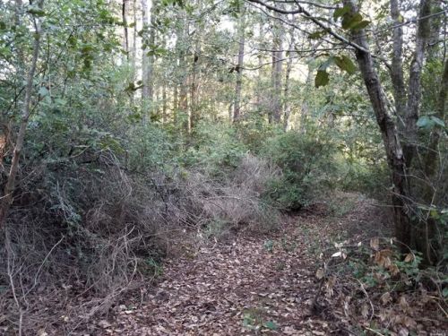 37831 Ocean Ridge Dr, The Sea Ranch, CA 95445-9503