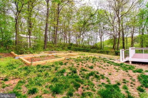 13377 Westwood Ln, Madison Mills VA  22960-1958 exterior