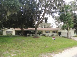 16440 Wilson Parrish Rd, Umatilla, FL 32784-9367