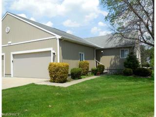 1658 Iris Glen Dr, Twinsburg, OH 44087-1096
