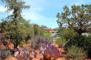 225 Ross Rd, Sedona, AZ 86336-5547