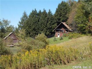 129 Horton Rd, Pitcher, NY 13136-2417