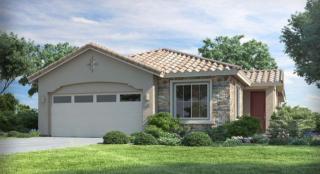 11451 Squash Blossom Loop, Tucson, AZ 85747-6224