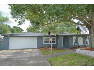 427 Maplewood Dr, Oldsmar, FL 34677-2759