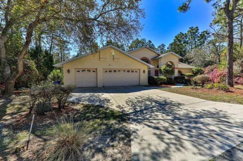 15 Drypetes Ct, Homosassa, FL 34446-4148