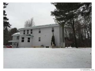 8381 Carney Hollow Rd, Wayland, NY 14572-9300