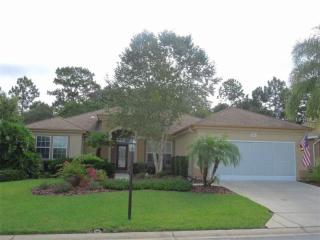 9481 124th Loop, Summerfield, FL 34491-9735