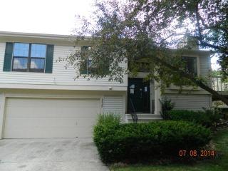 9528 Bay Vista East Dr, Indianapolis, IN 46250-1464