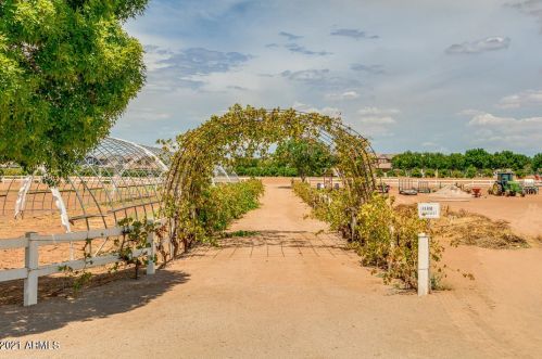 2719 James St, Gilbert AZ 85296-8981 exterior