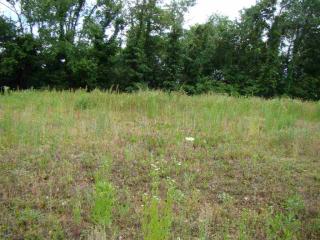 244 Chronicles Dr, Medina, TN 38355-8816