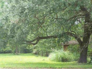 208 Central Caldwood Dr, Beaumont, TX 77707-1918