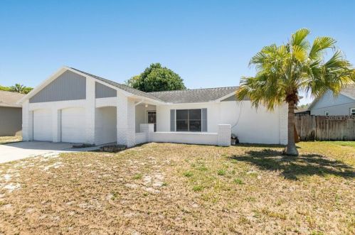 2532 Surinam Ct, Tarpon Springs, FL 34691-6811