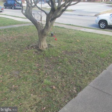361 Cedar Ave, Holmes PA  19043-1204 exterior