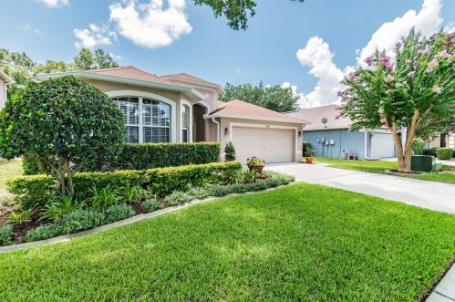10848 May Apple Ct, Land O Lakes, FL 34638-7900