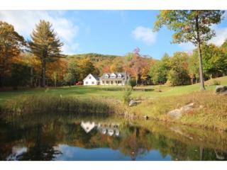 1770 Tyson Rd, Reading Center, VT 05062-9803